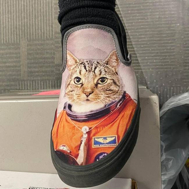 „A férjem űrhajóssá Photoshoppolta a macskánkat, és rendelt egy cipőt nekem ajándékba, amire ezt a képet nyomtatták."