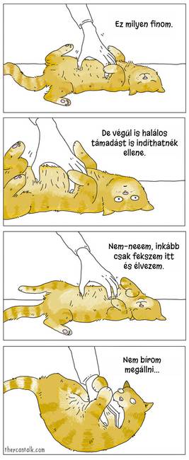 20 vicces illusztráció, ami bemutatja a kutyák és macskák furcsábbnál-furcsább szokásait