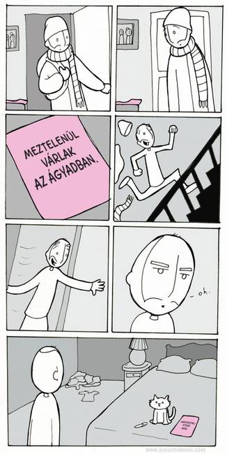 10 humoros képregény, ami megmutatja, hogy milyen együtt élni egy macskával
