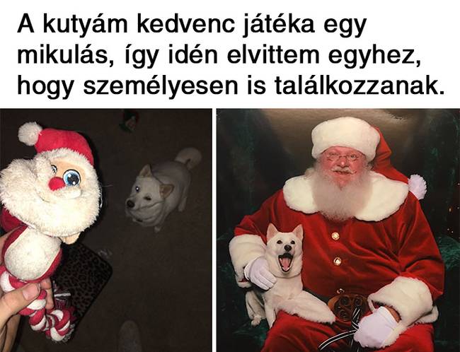 20 vicces karácsonyi mém, ami többet mond minden szónál