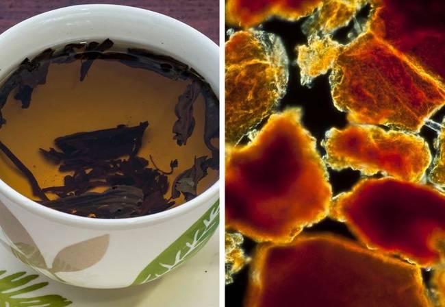 Teafű