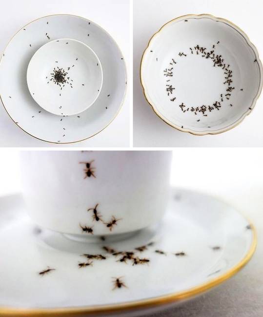 Hangyákkal díszített étkészlet. Mégis ki akar (ki képes...) ilyen tányérokból enni?!