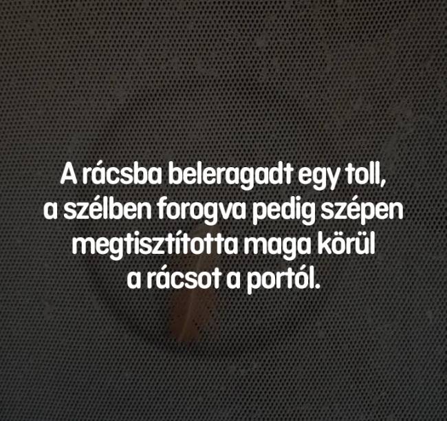13 fényképrejtvény, amiken nem mindenki találja meg a választ