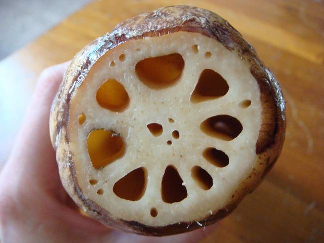 Indiai lótusz.