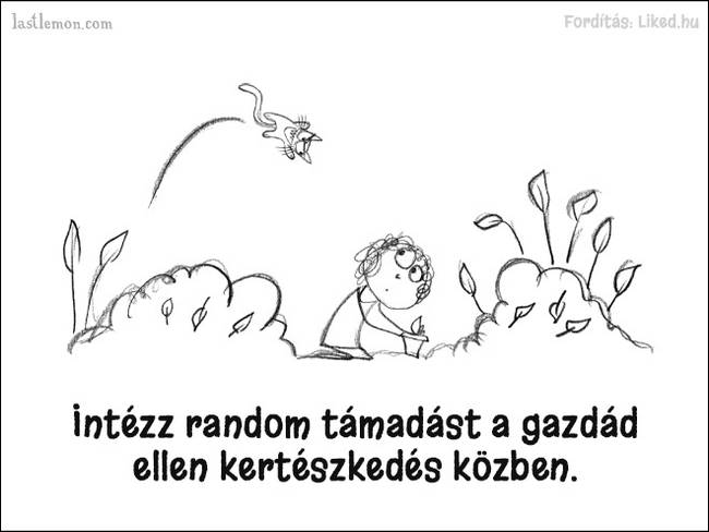 20 humoros illusztráció, ami megmutatja, hogyan kell jó macskának lenni