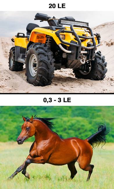 Hány lóerős egy ló?
