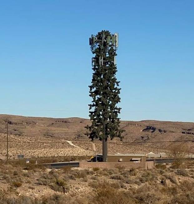A telefontorony úgy döntött, hogy fának álcázza magát.