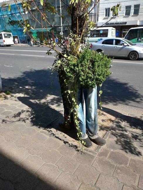 „Ez csak egy virágtartó...”