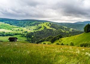 Fekete-erdő