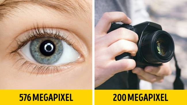 Emberi szem megapixel