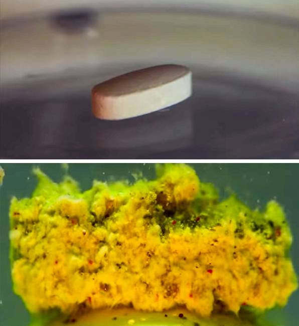 21 fotó, amivel többet tanulhatsz 5 perc alatt az emberi testről, mint bármelyik biológia tankönyvvel