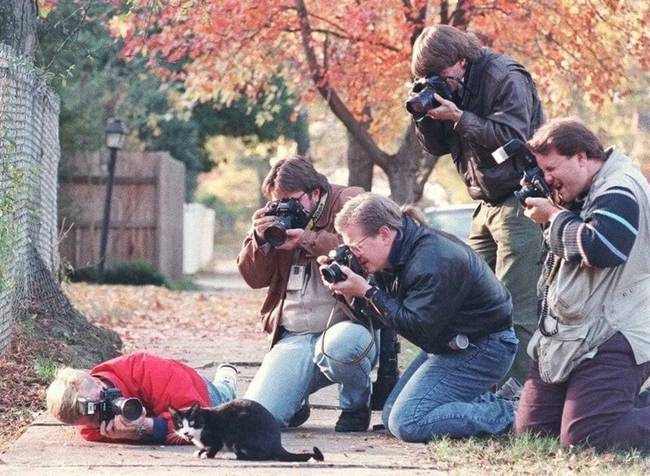 Bill Clinton macskája a kamerák előtt.