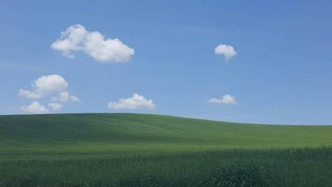 „Készítettem egy fotót, ami pontosan úgy néz ki, mint a híres Windows XP háttérkép.''