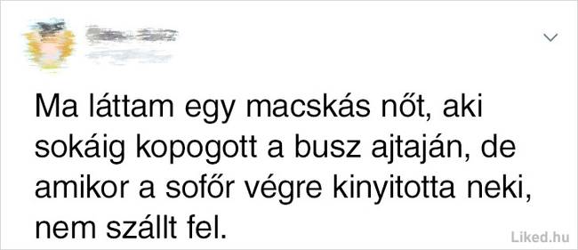 Vicces tömegközlekedés