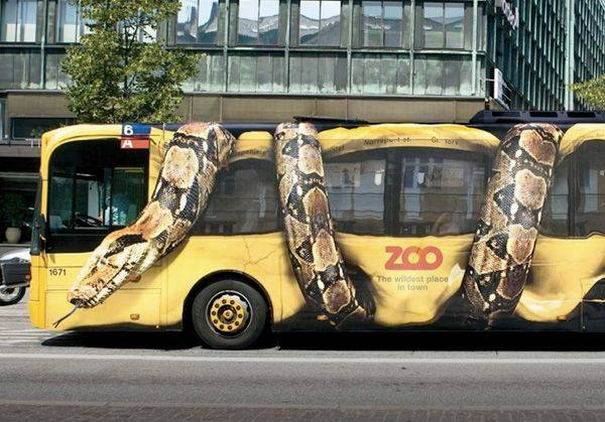 Állatkert reklám egy belvárosi buszon.
