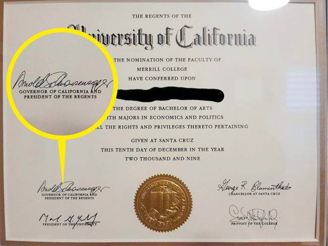 „A főiskolai diplomámat Arnold Schwarzenegger írta alá."