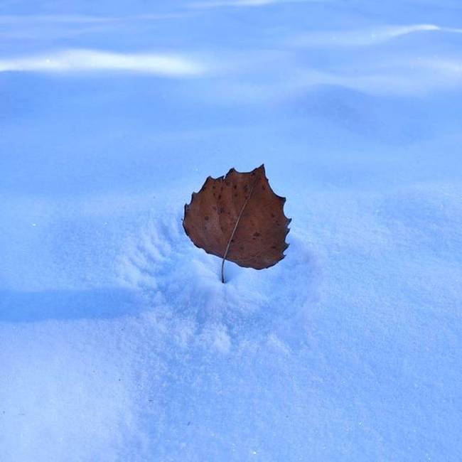 a8c30c5183bb4c0bceace2cc85