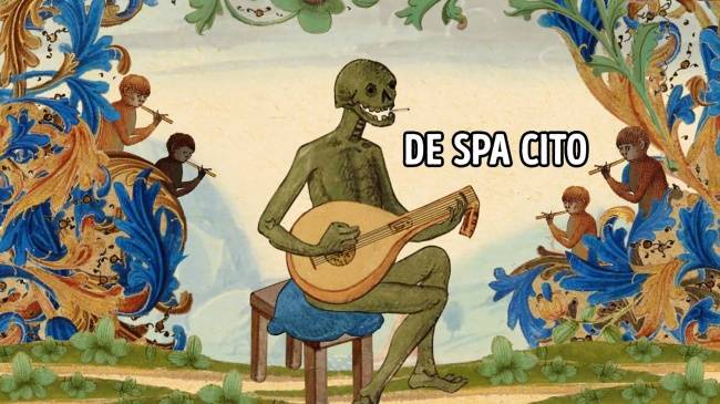 Pasito a pasito, suavec suavecito.