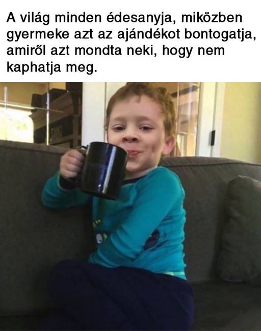 20 vicces karácsonyi mém, ami többet mond minden szónál