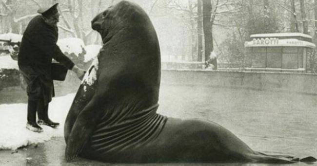 photos that show us the life of people before us Y5d53 640 06