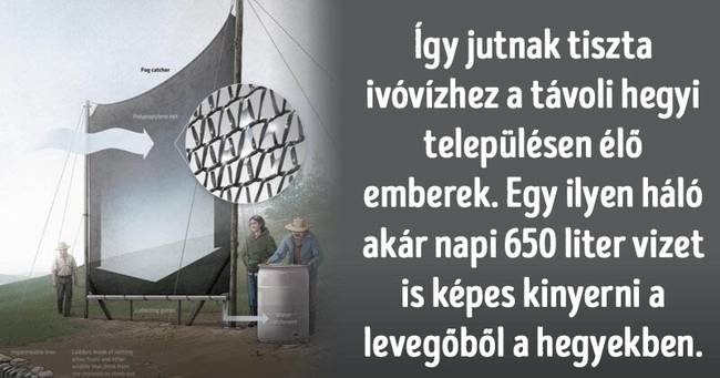 Intelligens kérdések
