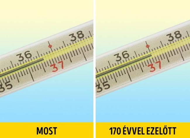 Testhőmérséklet