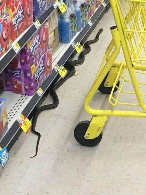 Ezek a vásárlók egyre furcsábbak.