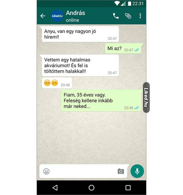 KEGYETLEN ŐSZINTESÉG.
