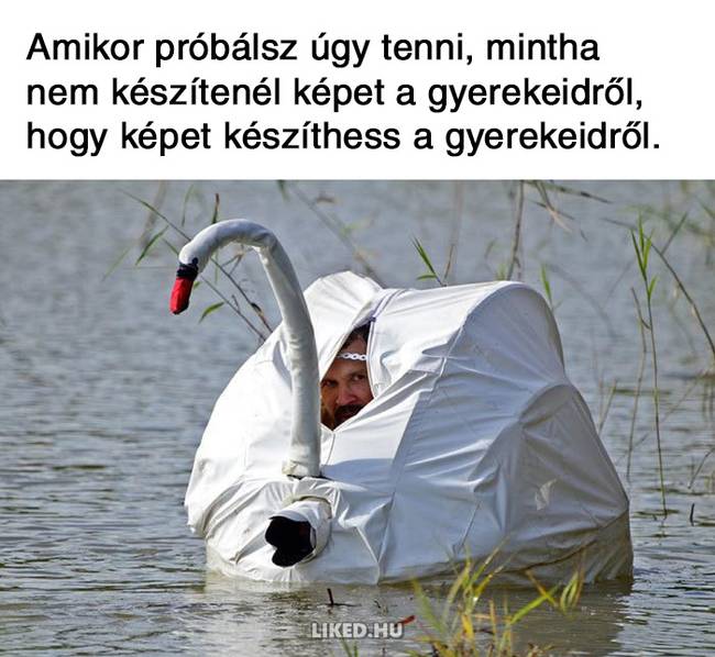 20 anyasággal kapcsolatos mém, ami remekül summázza a gyereknevelést