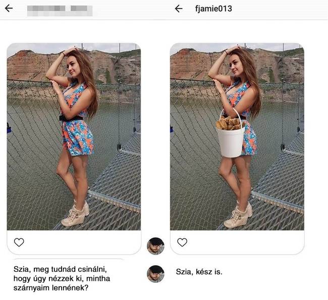 Csirkeszárny megfelel?