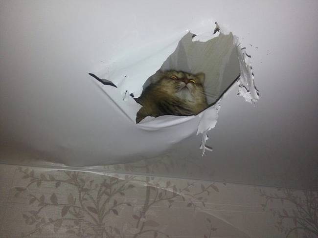 Neked is volt már olyan érzésed, mintha figyelnének Téged?! Talán nem is ok nélkül volt.
