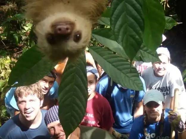 Photobomb állatok 010