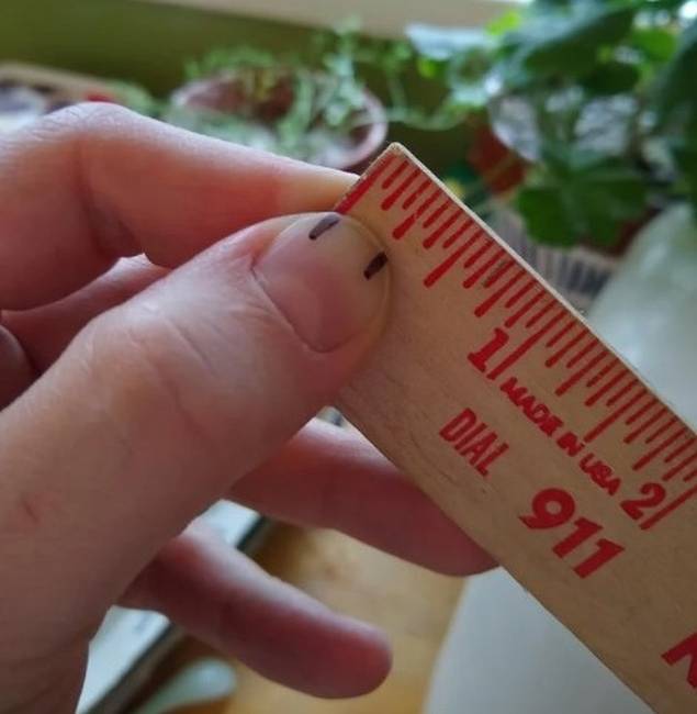 Praktikus ötlet ez arra, ha munka közben folyamatosan kell mérni apró alkatrészeket.