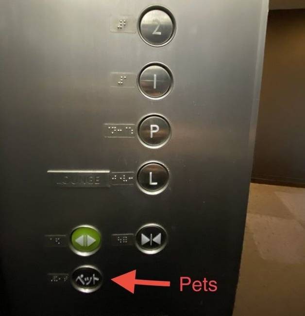 Ennek a tokiói lakóépületnek a liftjében van egy speciális "kisállat" gomb.