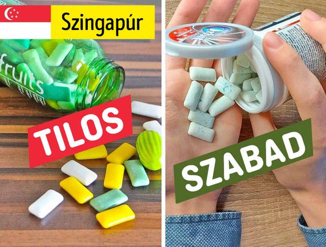 Műanyag ételtartók