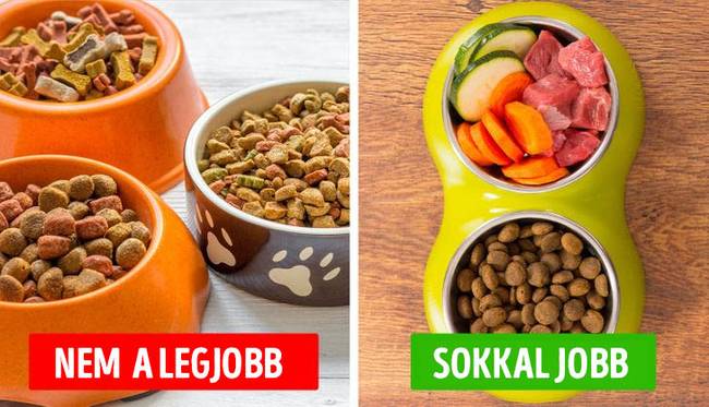 tévhit: az étrend változtatása negatívan befolyásolja a bélműködést.