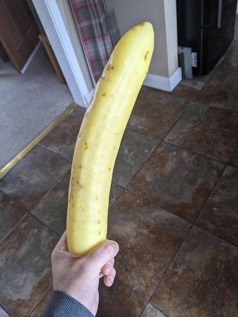 „Anyukám termesztett egy óriási sárga uborkát."