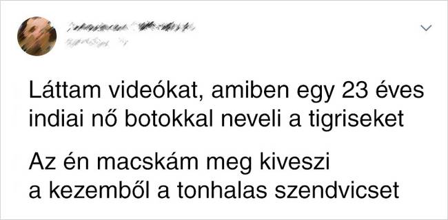 Más emberek vs. macskagazdik.
