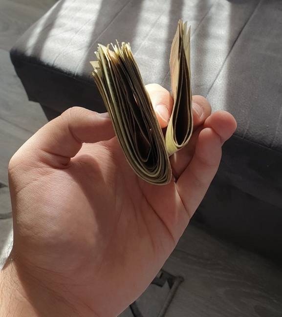 „Pénz az albérletre és pénz 10 nap ételre."
