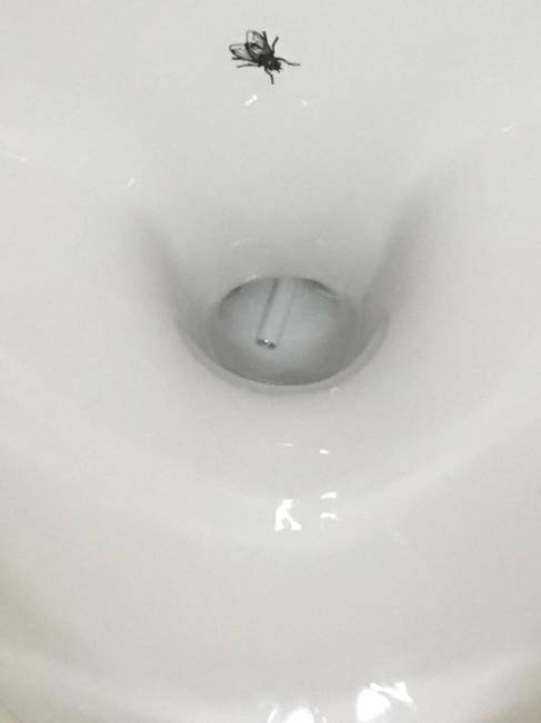 „Beleejtettem a vezeték nélküli fülhallgatómat az iskolám vécéjébe."