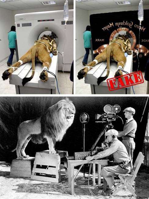 MGM oroszlán