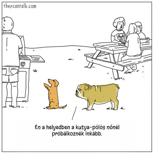 20 vicces illusztráció, ami bemutatja a kutyák és macskák furcsábbnál-furcsább szokásait