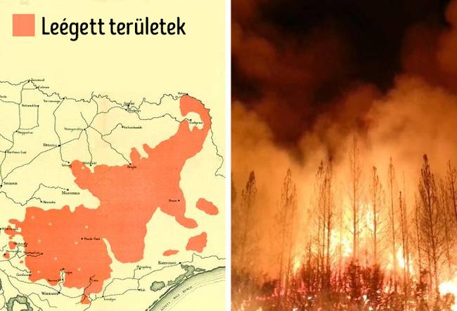 Victoria állam fekete péntek
