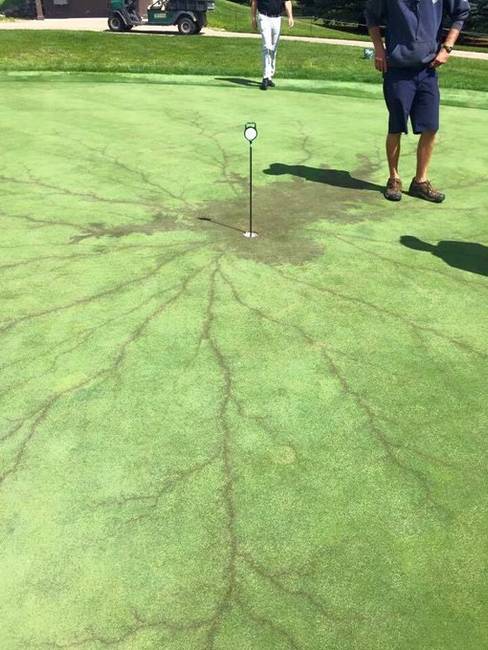 Ez történik, ha villám csap egy golfpálya lyukában álló zászlóba.