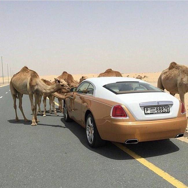 Dubajban nem a stopposok és az aprópénzt kéregető hajléktalanok lassítják a forgalmat.