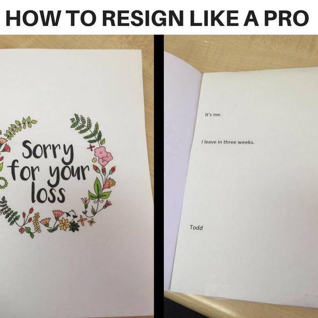 „A haverom így értesítette a munkahelyét a felmondásáról."
