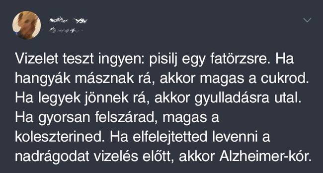 Ha a szállodai szobában nincs virágváza, használhatod ezt a lifehacket.