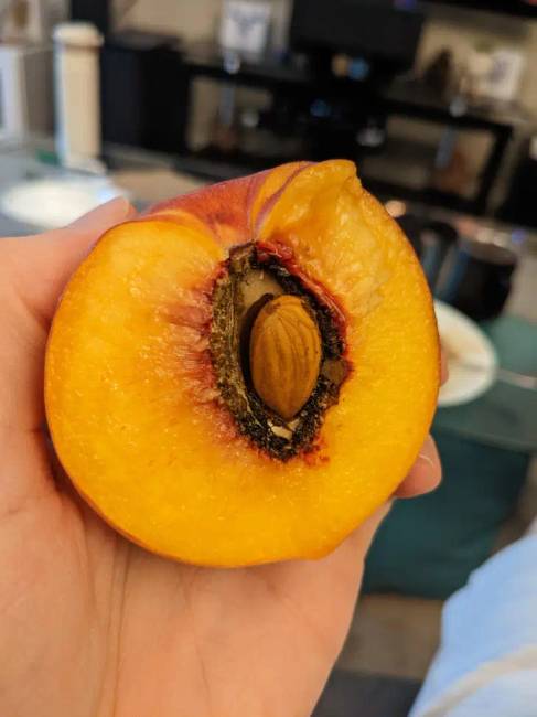 Felfedezések 013