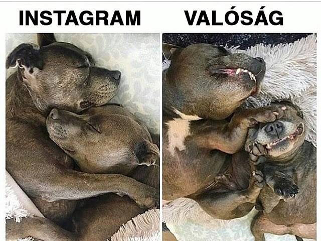 Együtt alvás a szerelmünkkel.