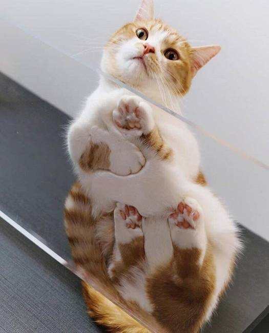 1 63